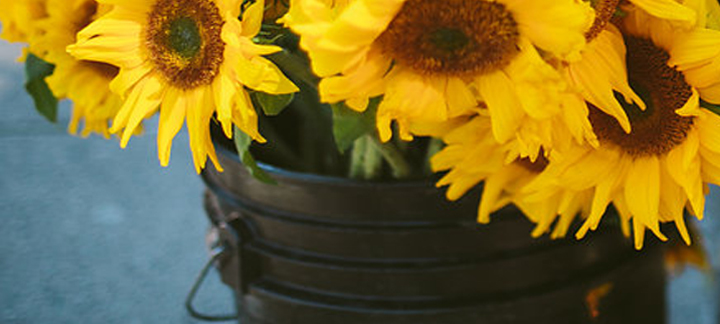 Siena Farms Autumn Dinner